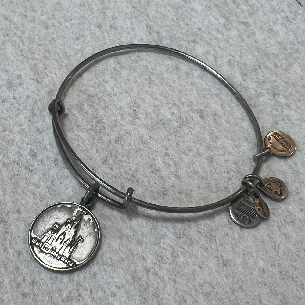 Alexa and Ani Disney Bracelet